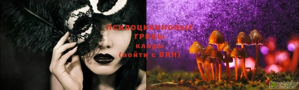 apvp Алзамай