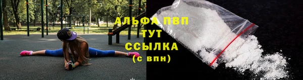apvp Алзамай