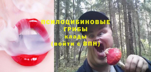 apvp Алзамай
