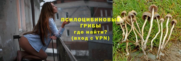 ALPHA PVP Алексин