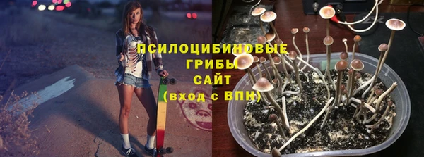 apvp Алзамай